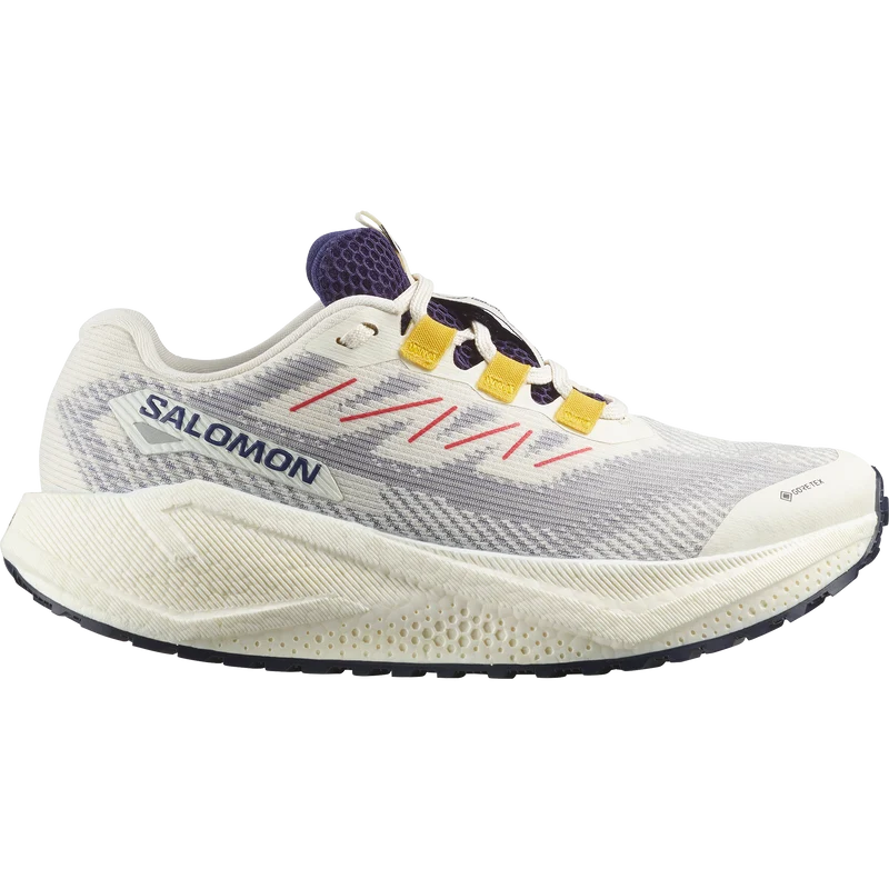 SALOMON SHOES AERO BLAZE 3 GRVL GTX W Laufschuhe