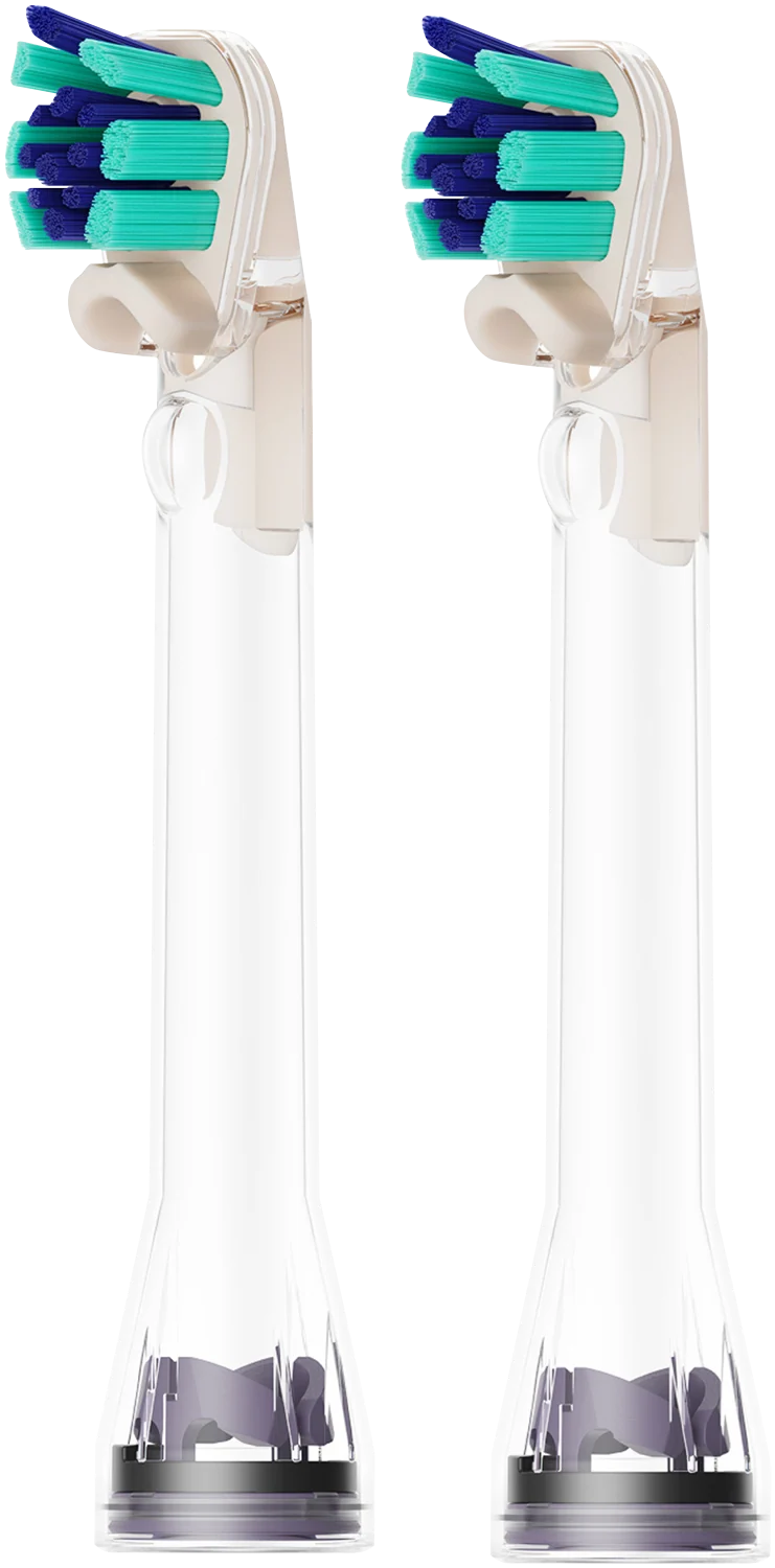 Dyson 2 Pack Dual Bristle Brush Head