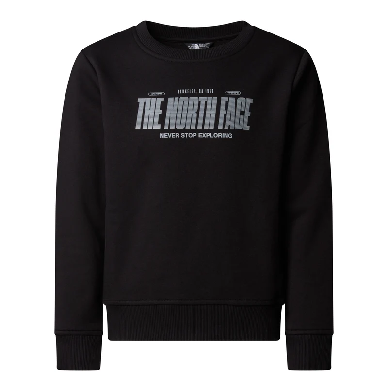 NORTH FACE Reflective Logo Relaxed Crew Pullover
